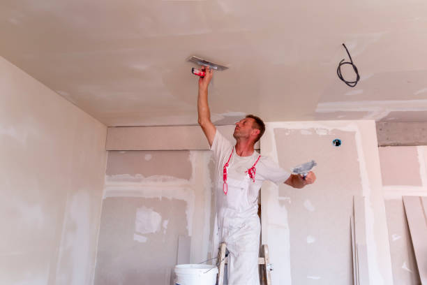 Best Painting for New Construction  in South Deerfield, MA